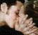 The Diner Kiss